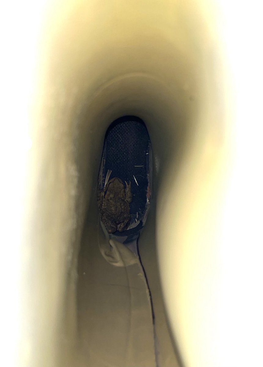 Anne Cécile Suzanne (@annecsuzanne) on Twitter photo Quand en mettant tes bottes de ferme, tu rencontres le Prince Charmant 👸🐸.
<a href="/Fragritwittos/">FranceAgritwittos♥️</a> Quand en mettant tes bottes de ferme, tu rencontres le Prince Charmant 👸🐸.
<a href="/Fragritwittos/">FranceAgritwittos♥️</a>