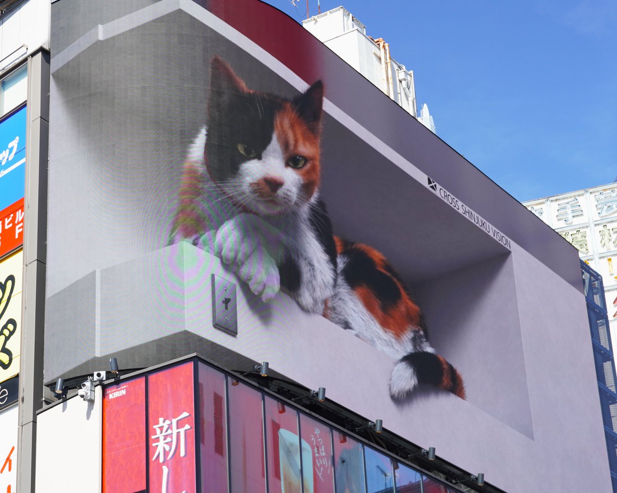 A larger-than-life calico cat sleeps, wakes up and stares at passing pedestrians opposite Shinjuku Station's east exit. Tokyo's first 3D billboard features a curved LED screen that can display 4K images & play sounds. #streetphotography #tokyo #caturday #japan #shinjuku #3d #cats