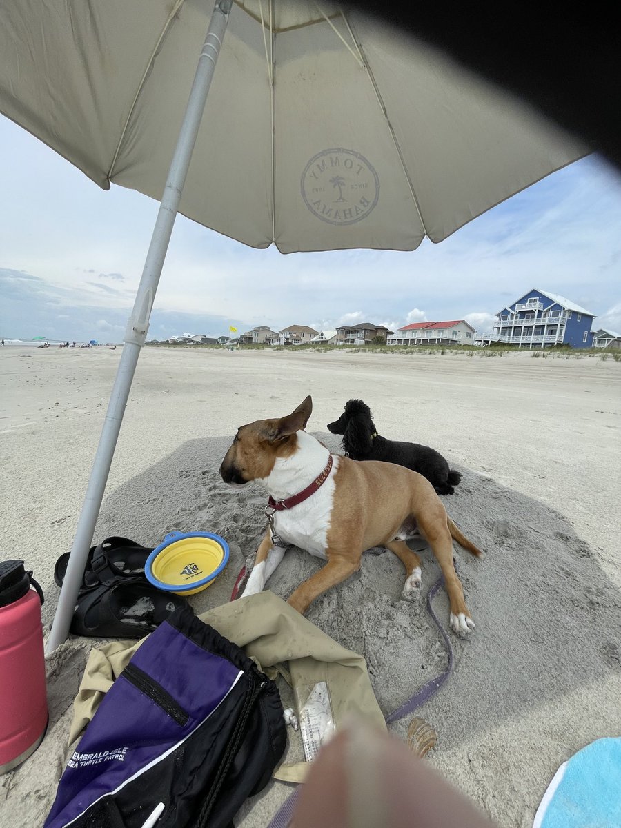 Under the umbrella on the beach