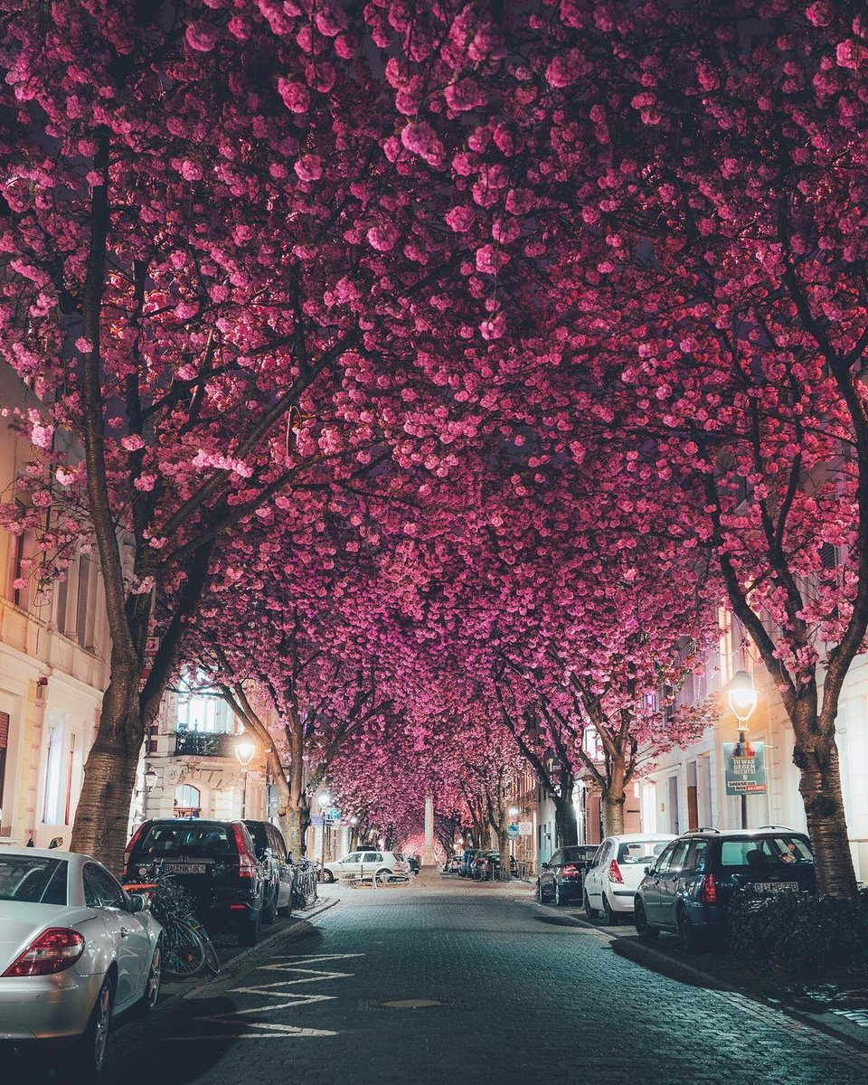 Bonn, Germany 🇩🇪