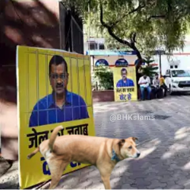 Only the dog understood the Value of AAP Neta 😉😉😉😜😜😜😜

#PictureoftheDay