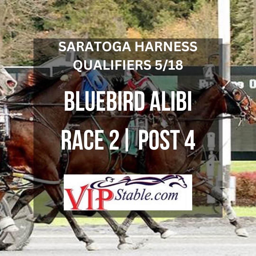 We have one qualifying today at Saratoga! Best of luck to the partners. #harnessracing #vipstable #horseownership