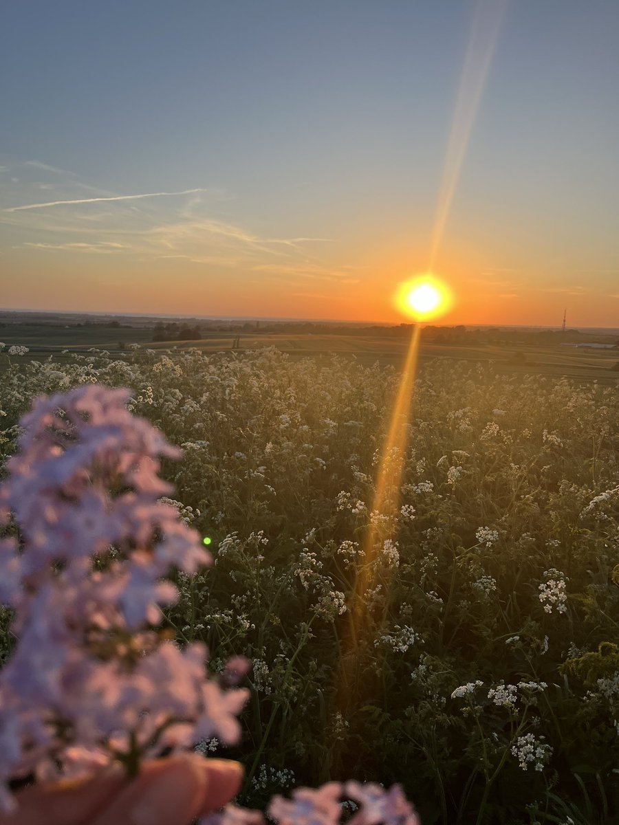 Ertelenen hayaller olunca hayat anlamını kaybedip avucunun içinden sessizce kayıp gidiyor