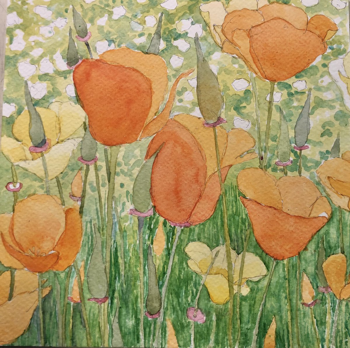 I left this piece aside for a bit to ponder how to do the ground cover & foliage in the foreground. It started w/ rough, grassy texture in 3 greens, which softened with a pale wash of yellow. 
California poppies, in process
8” x 8”, original watercolor
©️2024, all rights reserved