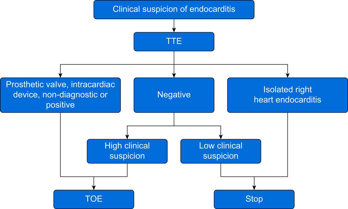 🔴Infective endocarditis #openaccess #2023review 

✅bjaed.org/article/S2058-…
 #medtwitter #meded #cardiovascular #MedEd #MedX #Cardiology #Cardiology #CardioTwitter #CardioEd #MedTwitter #paramedic #FOAMed #cardiotwitter #cardiotwiteros #medicine