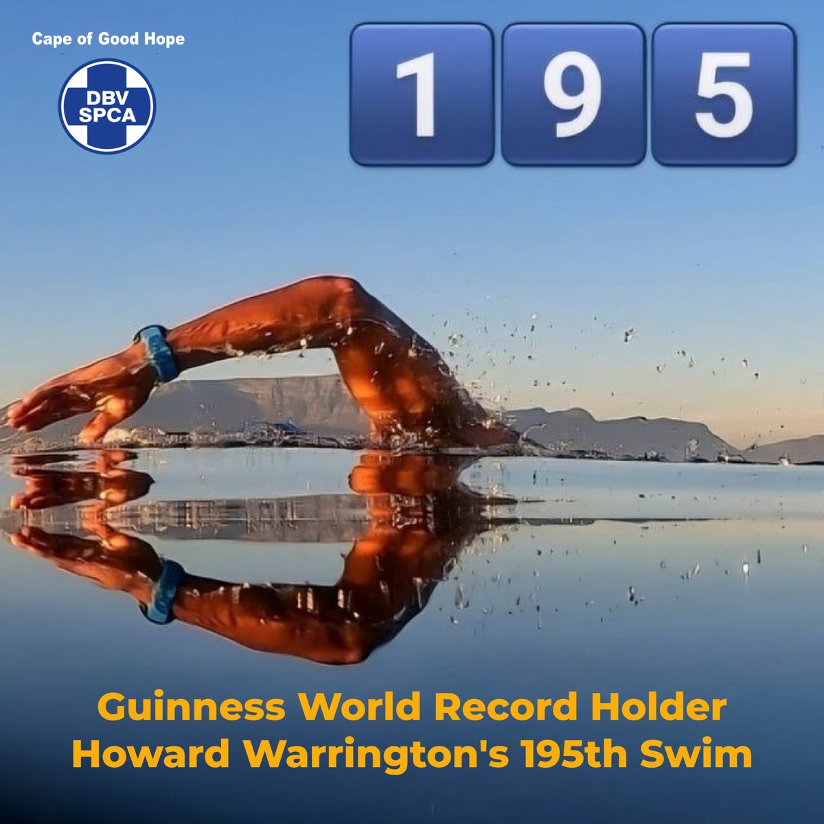 🏊🏼 Guinness World Record holder and endurance swimmer Howard Warrington has completed his 195th 7.4 KM swim from Robben Island to Blouberg 👇 pulse.ly/bdab9ek8tp #Swim4Survival2024 #HowardWarrington #SwimRecord #EnduranceSwimmer #RobbenIslandtoBlouberg #CapeSPCA #CapeTown