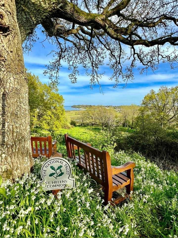 A picture perfect scene in the East Wight 🌳 📌 St Helens 📷️ Pamela Parker ⁠ #exploreisleofwight #LoveGreatBritain #island #islandlife #view #seaview #StHelens #peaceful #relax #calm #spring #perfect #happiness #nationaltrust #coastalpath #explore #inspired #youtime