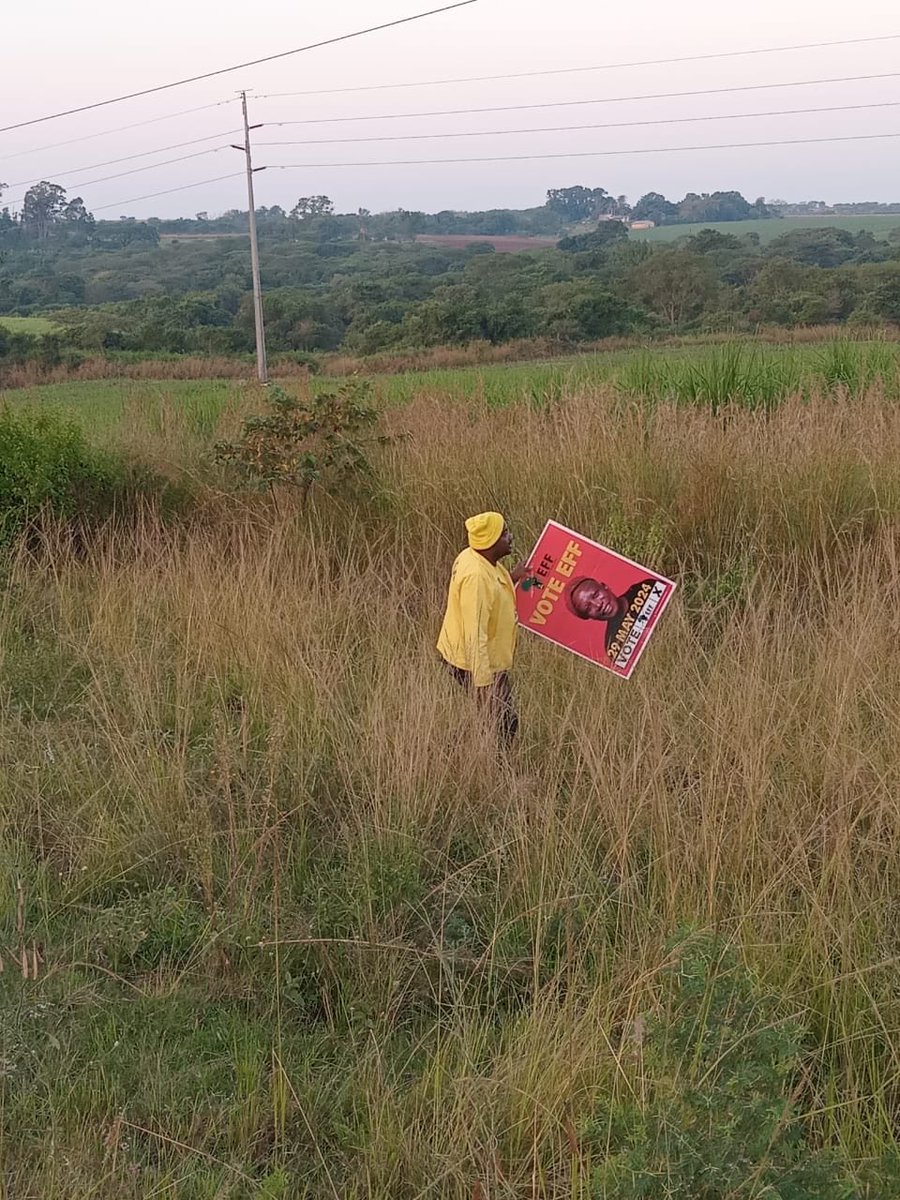 ANC Comrades caught removing our posters at Ward 29 Buffelslruit, Schoemansdal. #VoteEFF #MalemaForSAPresident