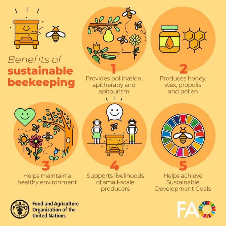 🐝5 benefits of sustainable beekeeping 👇 #WorldBeeDay #SaveTheBees