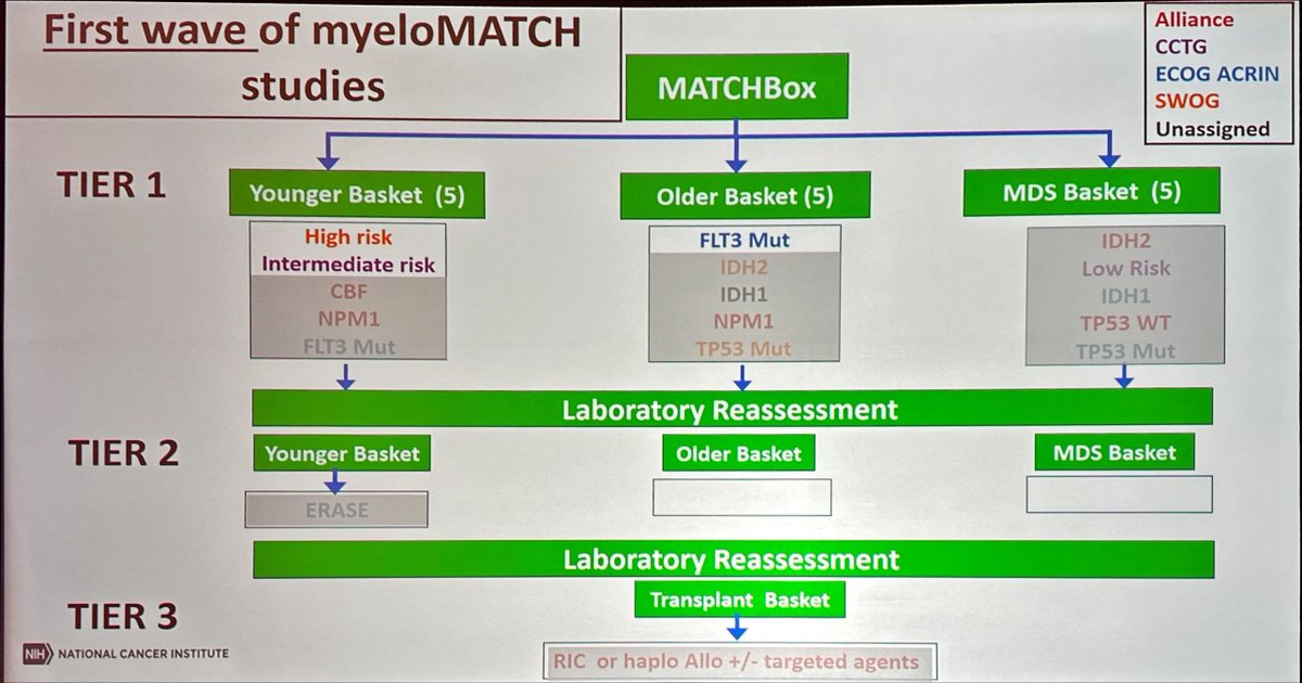 MyeloMATCH MSRP: A Screening Study to Assign People with Myeloid Cancer to a Treatment Study - Activated 5/16/24 - #PrecisionMedicine #AMLsm #MDSsm #AllianceSpring2024 cancer.gov/research/parti…
