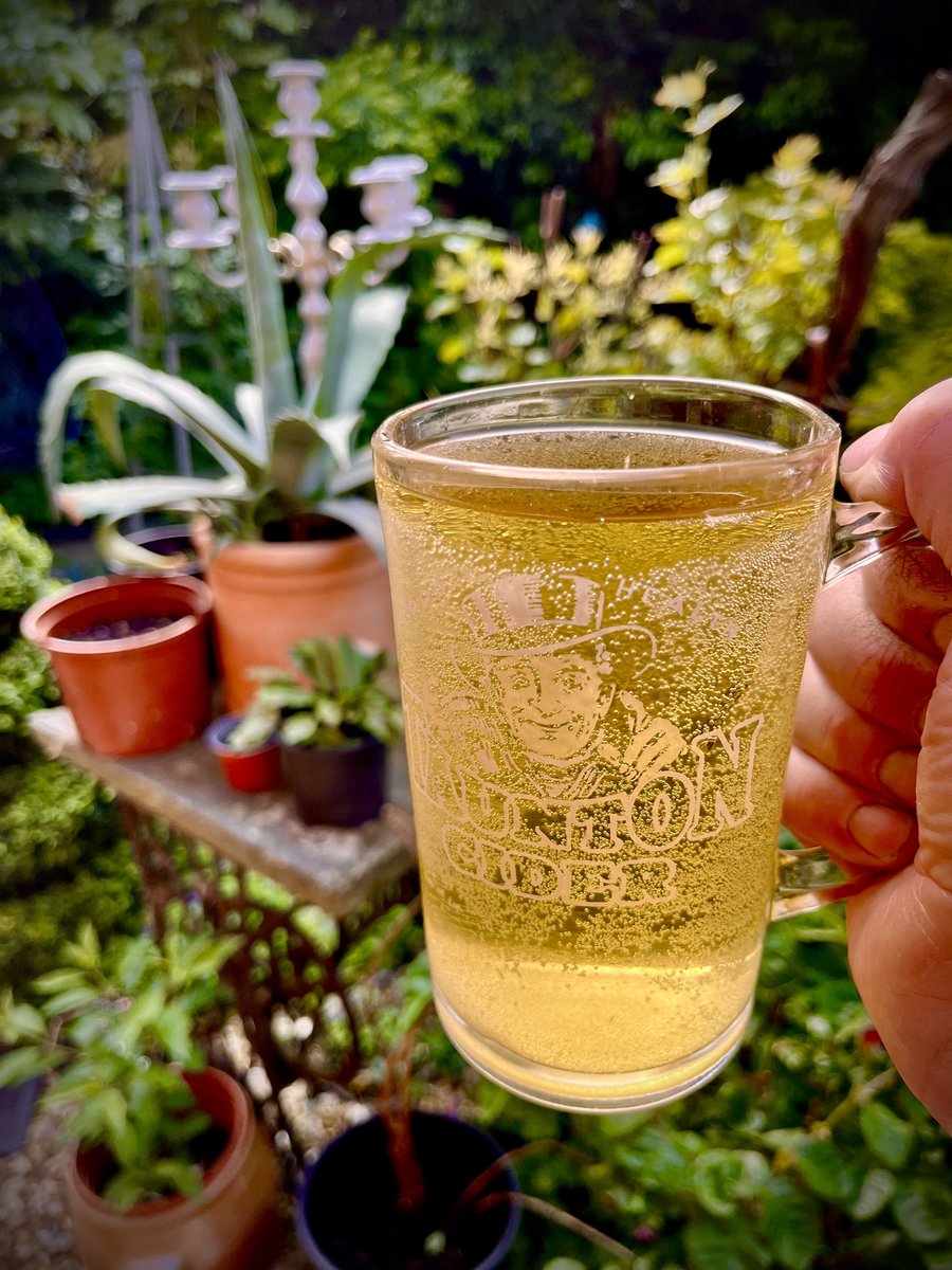 Time for my home brew scrumpy in a vintage jug - cheers dears 🤪🍺☀️