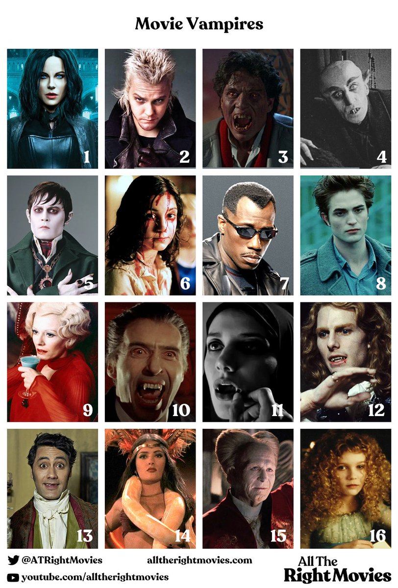 All The Right Movies tweet media