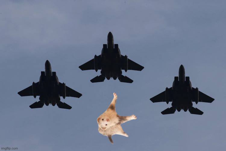 Bean Trades tweet media