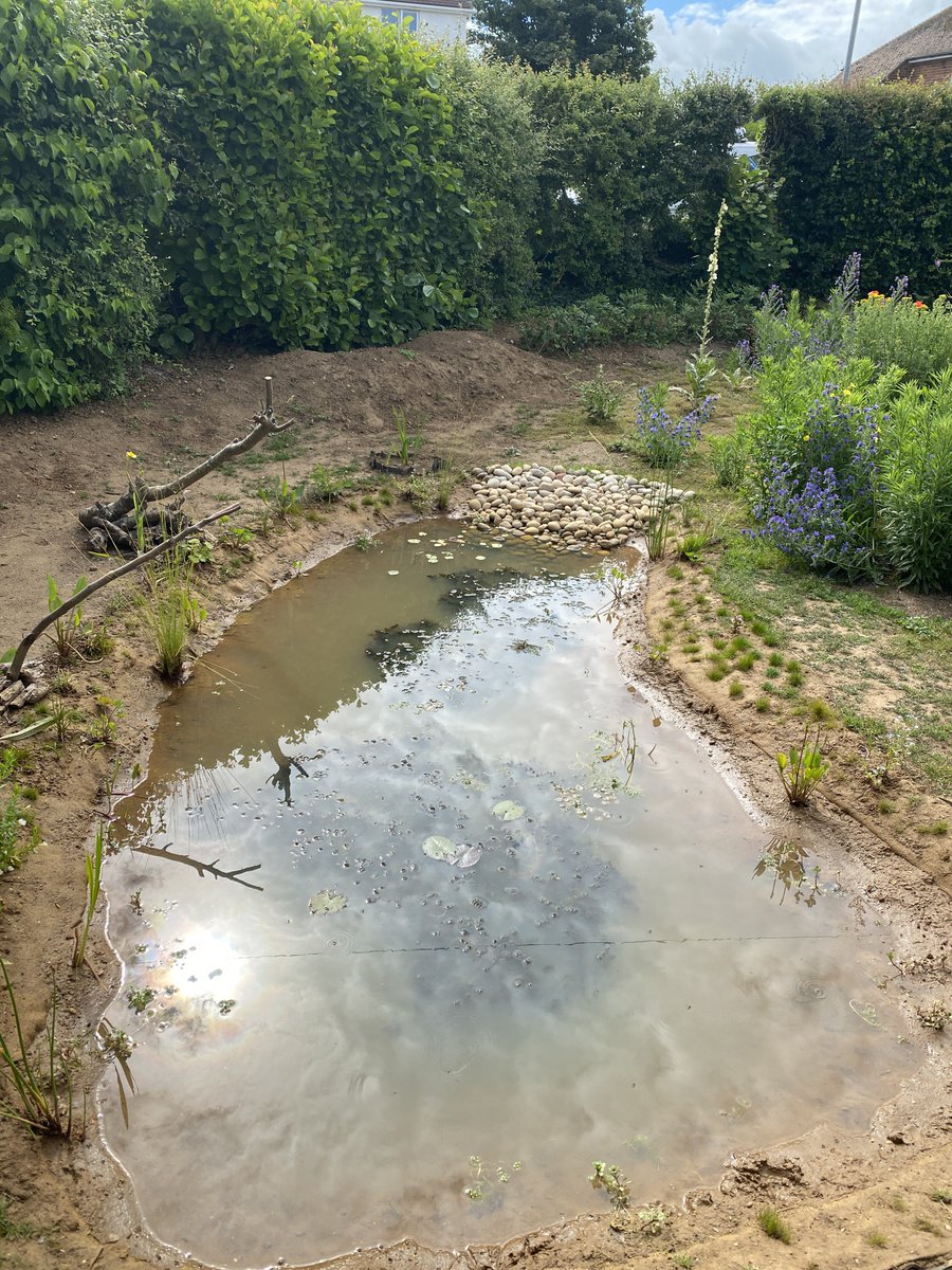 NE1LEVANS's tweet photo. A quick photo of the pond from today and 2 what us was like 2 years ago https://t.co/YUAALyunWq