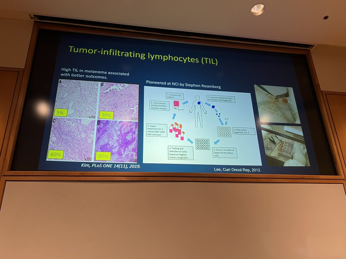Exciting kick-off of the 2024 NW Melanoma Pt/Caregiver Symposium @fredhutch @CureMelanoma with our own Dr Sylvia Lee describing the history and currentl landscape of TIL therapy! #melanoma
