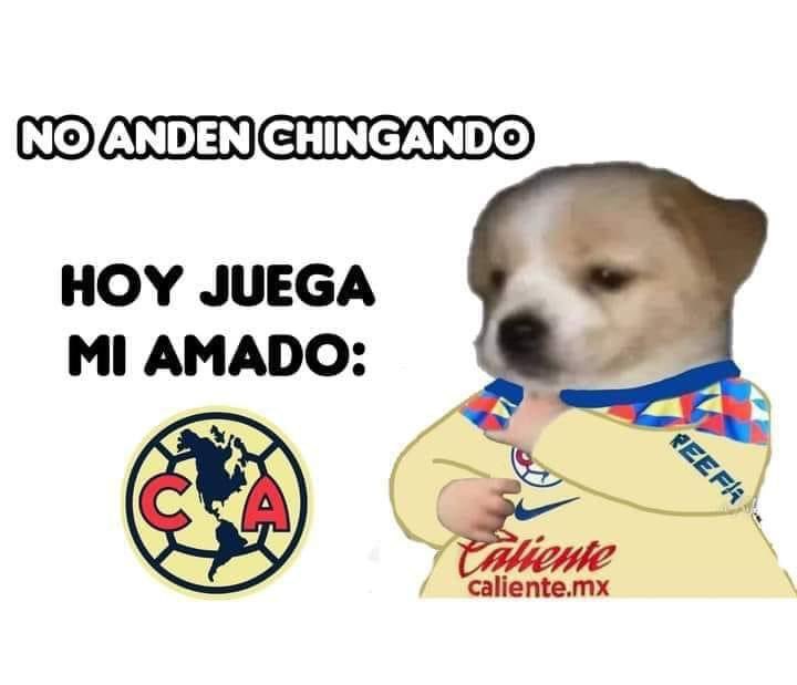 HeyChanu's tweet image. 