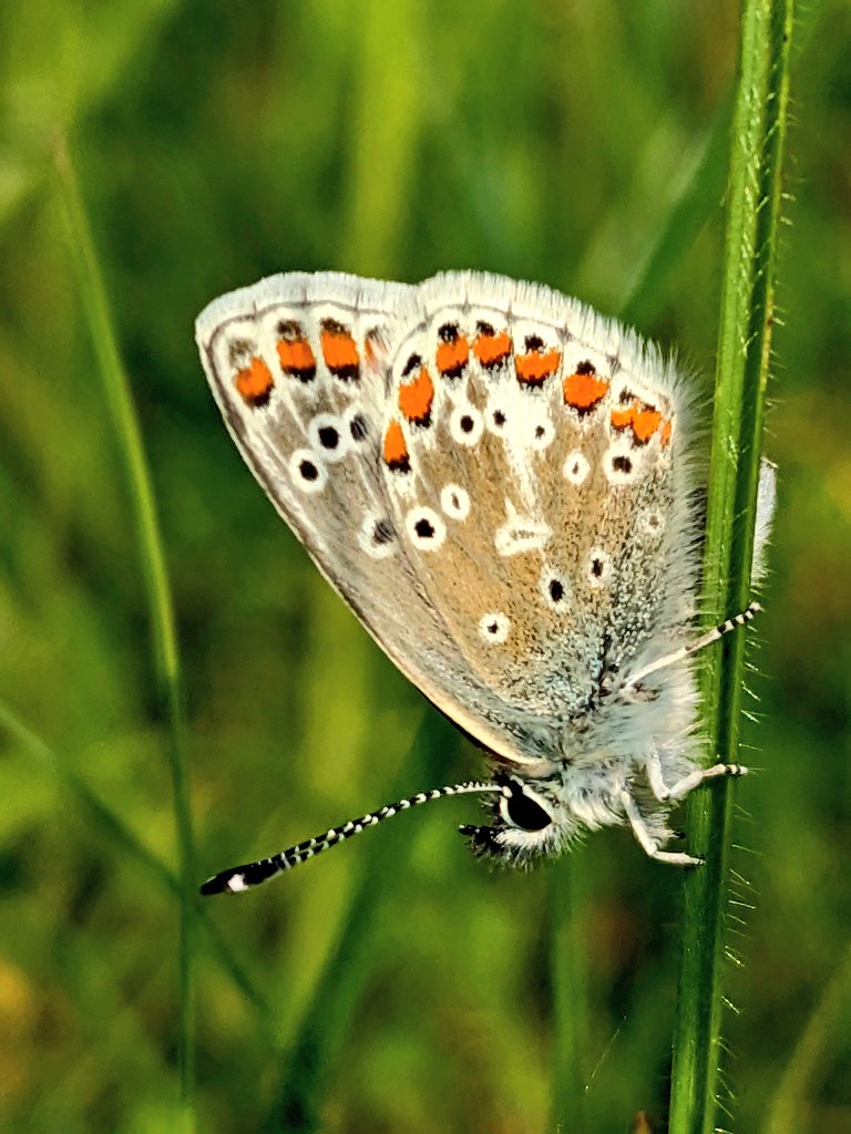 Jonni Price tweet media