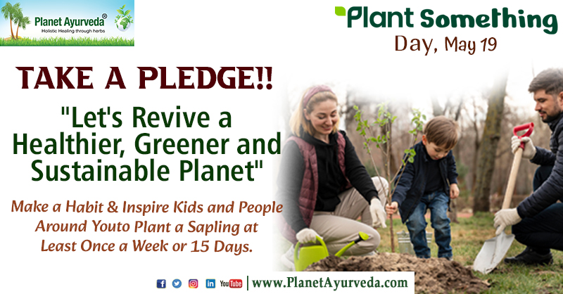 Plant Something Day - May 19

#PlantSomethingDay #PlantSomethingDay2024 #PlantSomething #Gardening
#PlantingTips #TreePlanting #SustainableLiving #PlantCare #SustainablePlanet