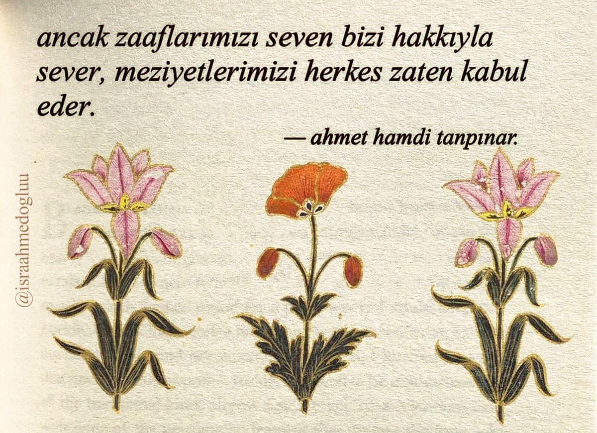 israahmedogluu's tweet photo. ahmet hamdi tanpınar. https://t.co/9srgsHoa0P