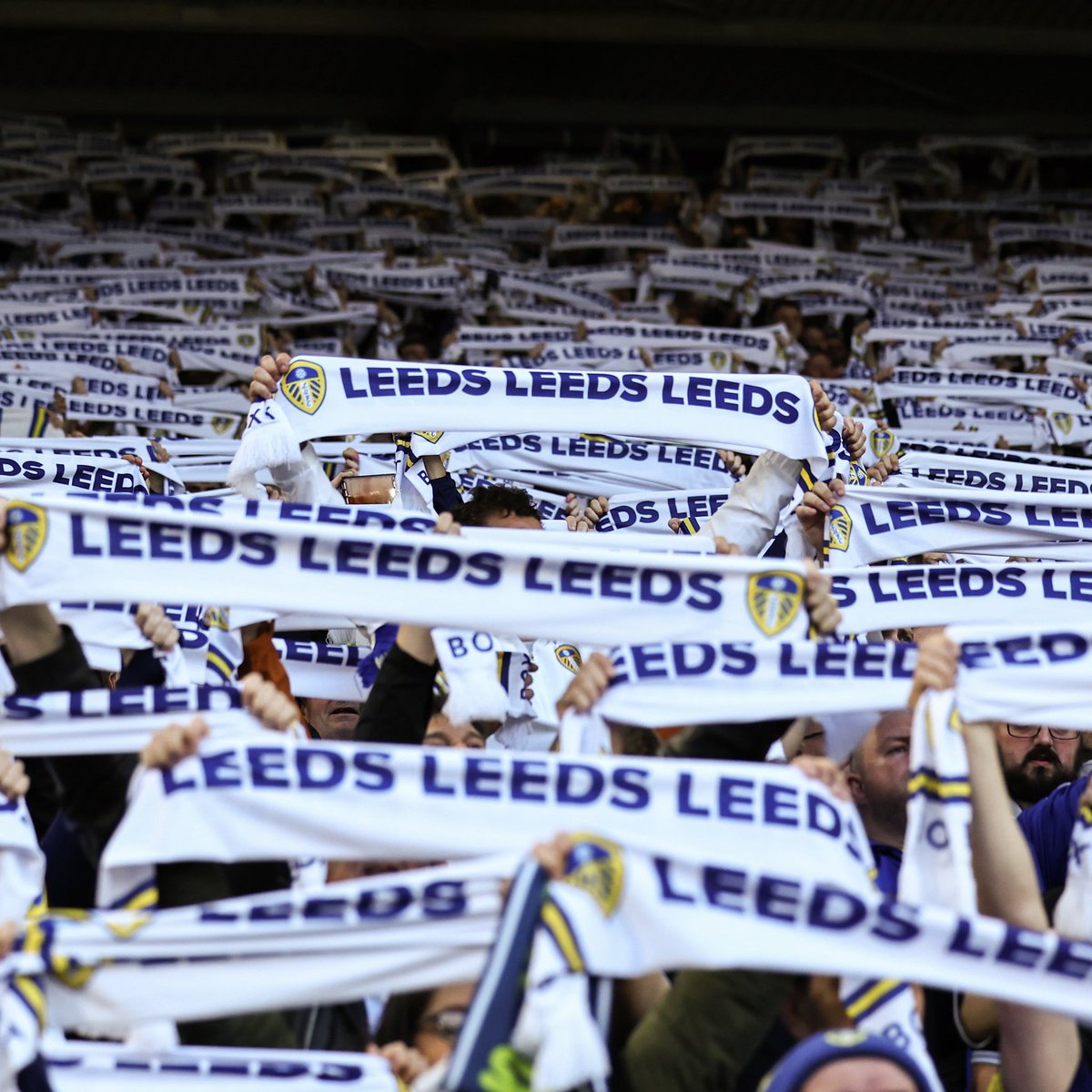 Jdev111's tweet image. #NewProfilePic