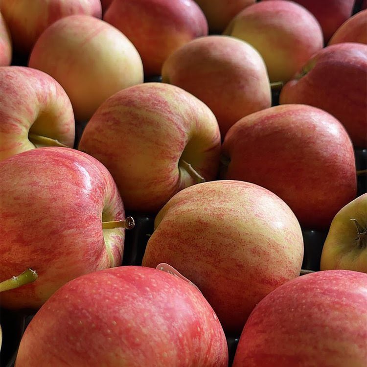 🌿 Fresh, local veg delivered! 🚚 £1.50 in Cotswold, £3.95 UK-wide. Order by Wed 6 PM. Partnered with eco-friendly DPD. #FreshVeg #EcoDelivery