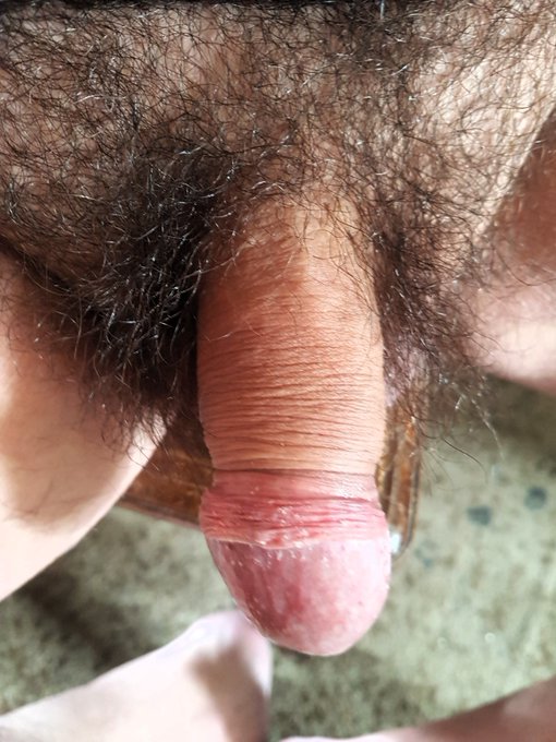 https://t.co/HNuSj3l8RS