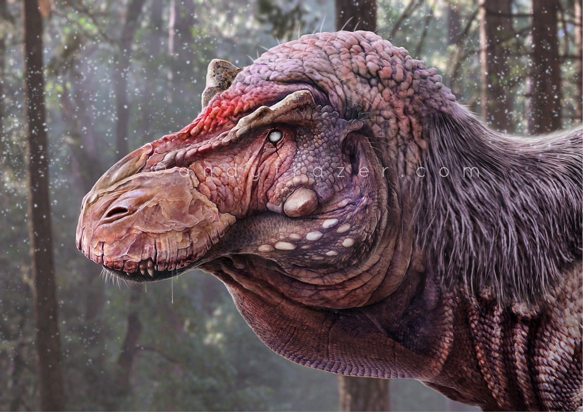 DragonsofWales's tweet photo. A different Tyrannosaurs rex.
See below for an explanation - written in the vain hope that it might deflect some of the inevitably inbound reaction 😉
Of course that part won’t be read by the people who really should…
(1/2) https://t.co/Ab1tJ1JPL9