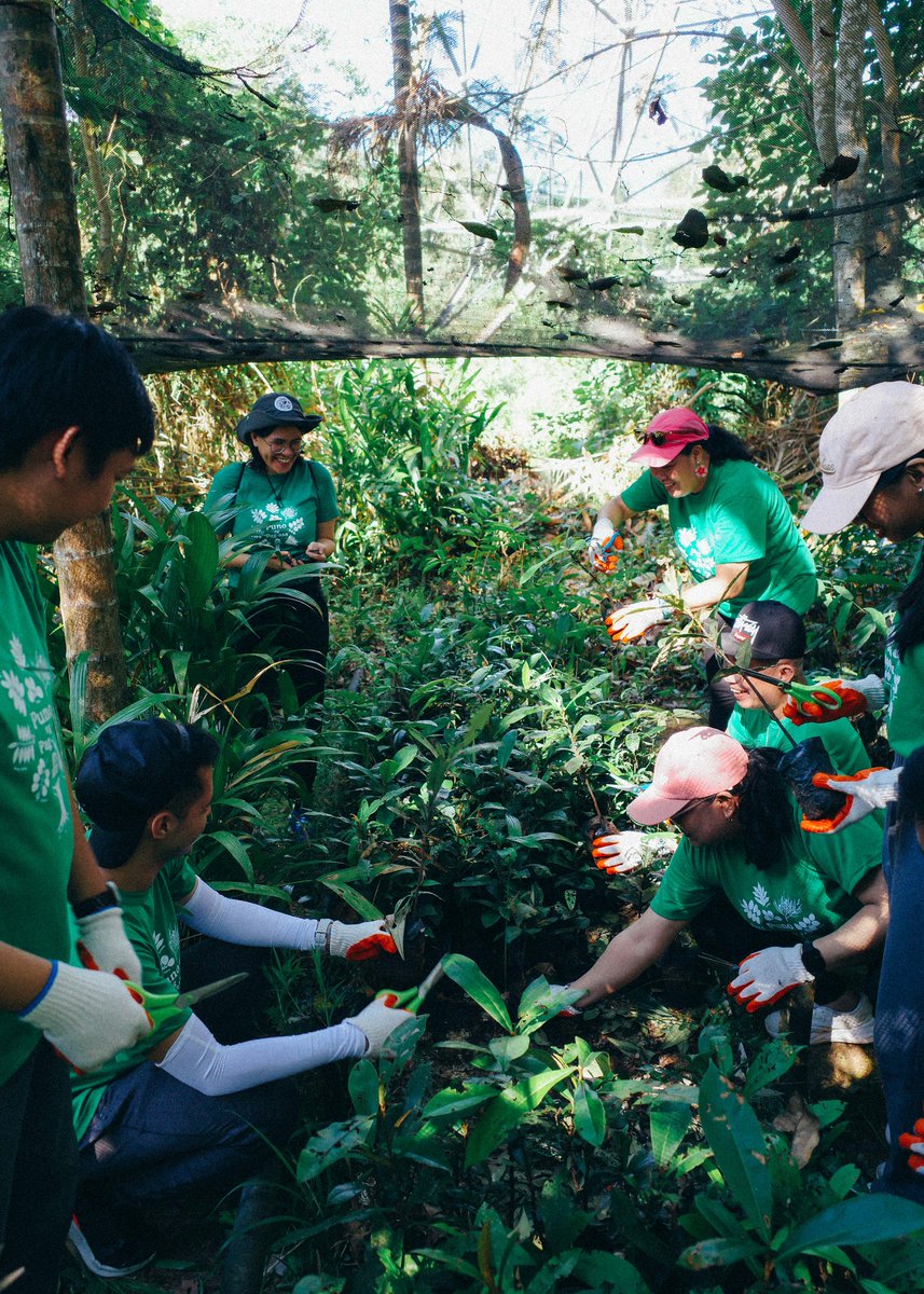 To more 🌳 trees and a greener 🌏 planet! Let's revisit the collaborative efforts of the @Xiaomi_PH #XiaomiFansClub and the Haribon Forests for Life Movement for #EarthDay.