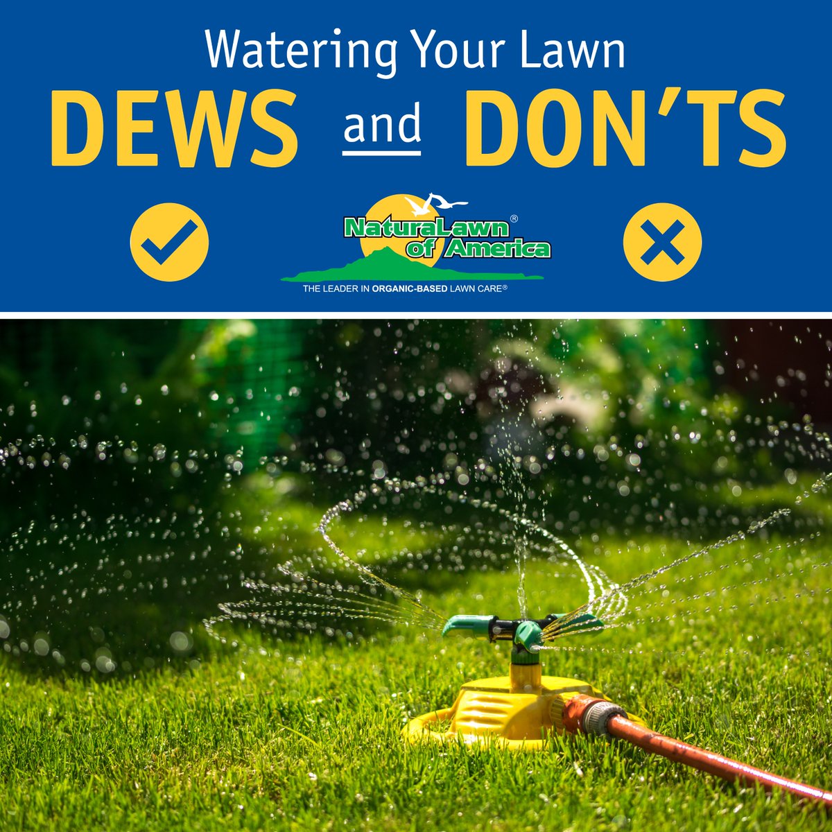 Improper watering can increase the number of weeds and decrease the health and vitality of the turf. Learn more: ow.ly/6zqB50RIuMz #NaturaLawn #NaturaLawnOfAmerica #NLA #IndustryLeader #LawnCare #Watering #GrassTips