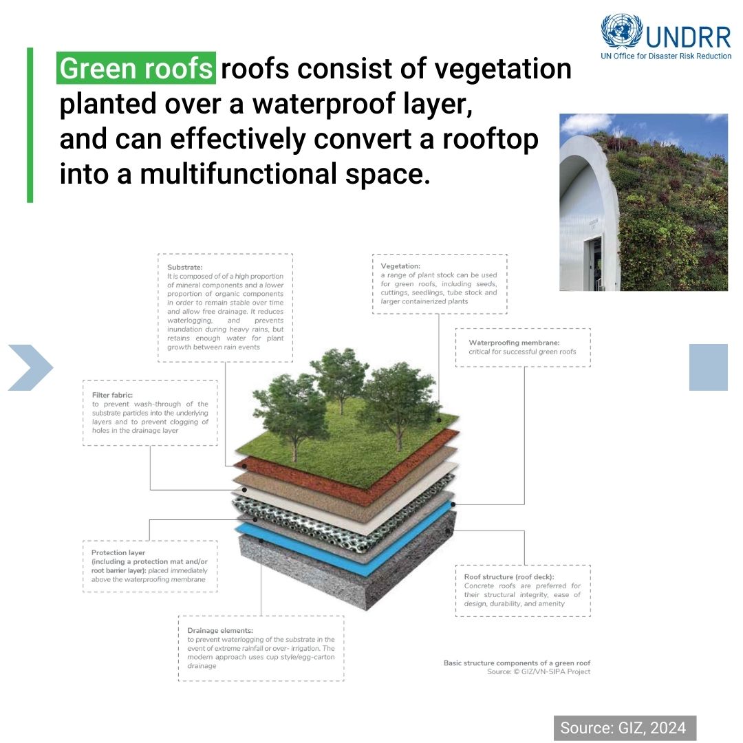🌱Green walls and green roofs can be an effective nature-based solution, keeping residents cool and countering the heat island effect. This practical guide developed by @giz_gmbh and partners explains how ➡️ ow.ly/3I3S50RJxuX