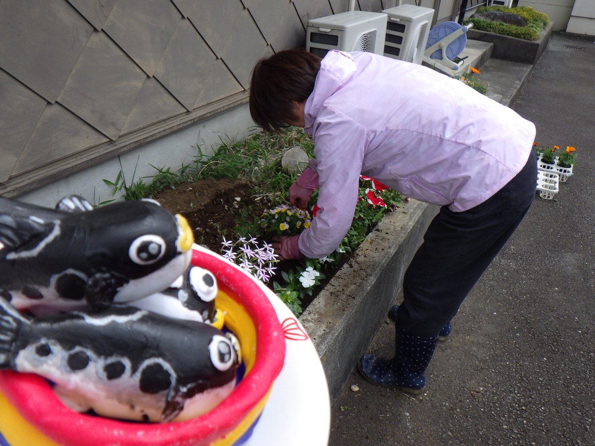 ～元“みどりの日”は、佳肴季凛園芸部の活動日和～
kakoh-kirin.jp/blog/?p=96979

4月29日（Vol. 4,372）のブログです
#庭の草取り #ガーデニング