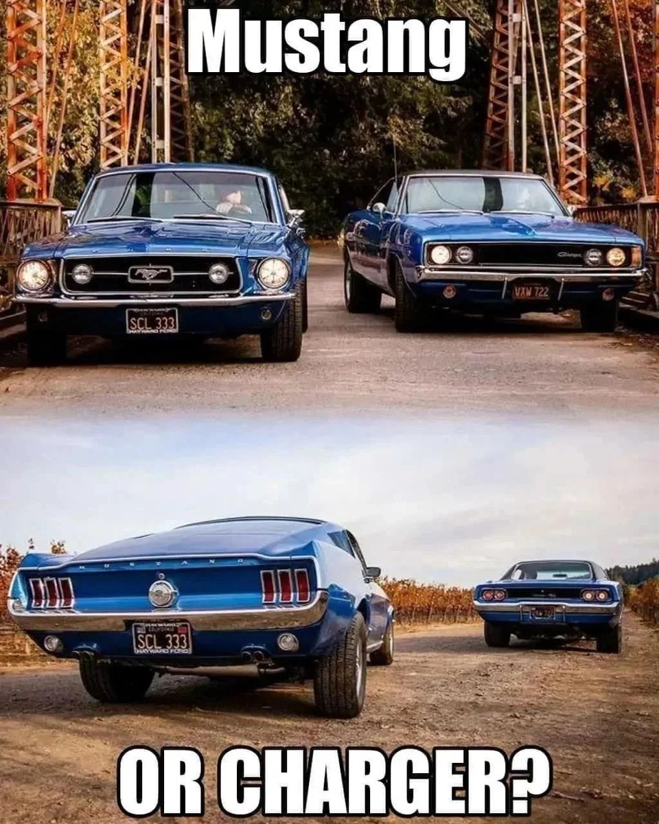 Mustang or Charger ?