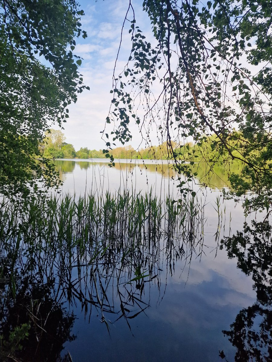 This could easily be a painting, sometimes these scenes take my breath away ❤️ #aussieinengland #naturewalks #outdooradventures #nature #connectwithnature #adventure #mentalhealth #outdoor #photography #lake #sittingbythelake #beautiful #apicturetellsathousandwords #painting