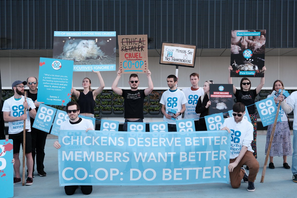 humaneleagueuk's tweet photo. Inspiring animal advocates from across the country have protested @coopuk’s AGM today to demand the self described ‘ethical retailer’ stop using cruelly-bred Frankenchickens, who grow so fast their bodies can’t keep up, all in the name of profit. https://t.co/ODB1sUnDrk