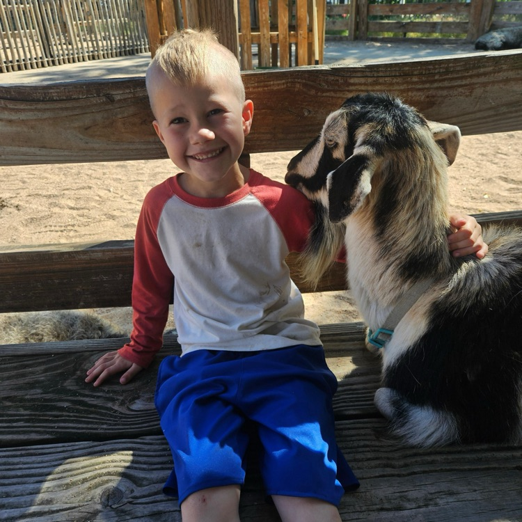 BlackmoreBears's tweet image. 1st grade has an amazing trip to the zoo!! Check out their adventure! 🦒🐻🦩#BEfamily #PartOfThePride