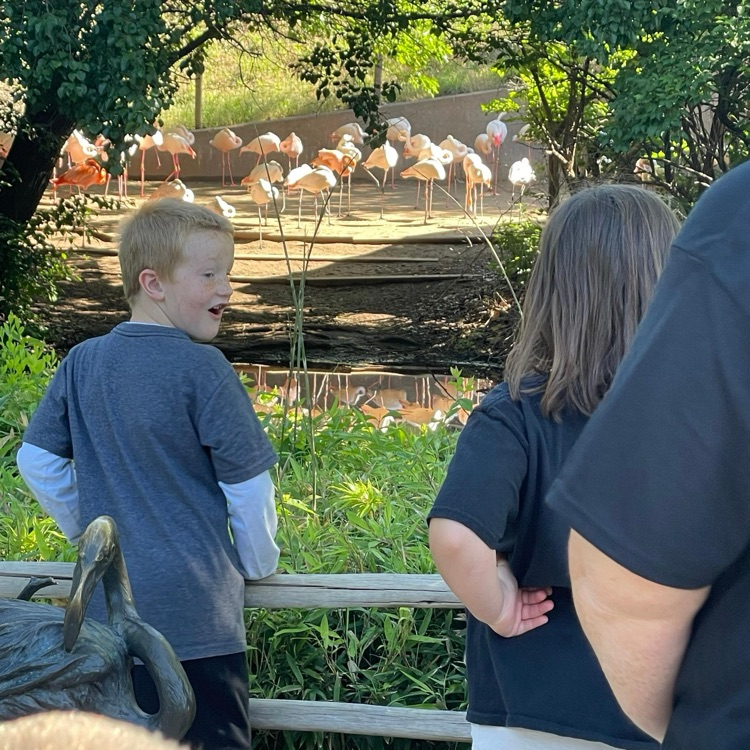 BlackmoreBears's tweet image. 1st grade has an amazing trip to the zoo!! Check out their adventure! 🦒🐻🦩#BEfamily #PartOfThePride