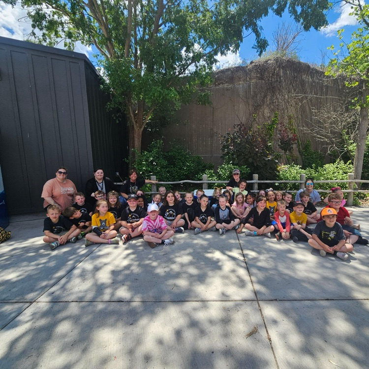 BlackmoreBears's tweet image. 1st grade has an amazing trip to the zoo!! Check out their adventure! 🦒🐻🦩#BEfamily #PartOfThePride