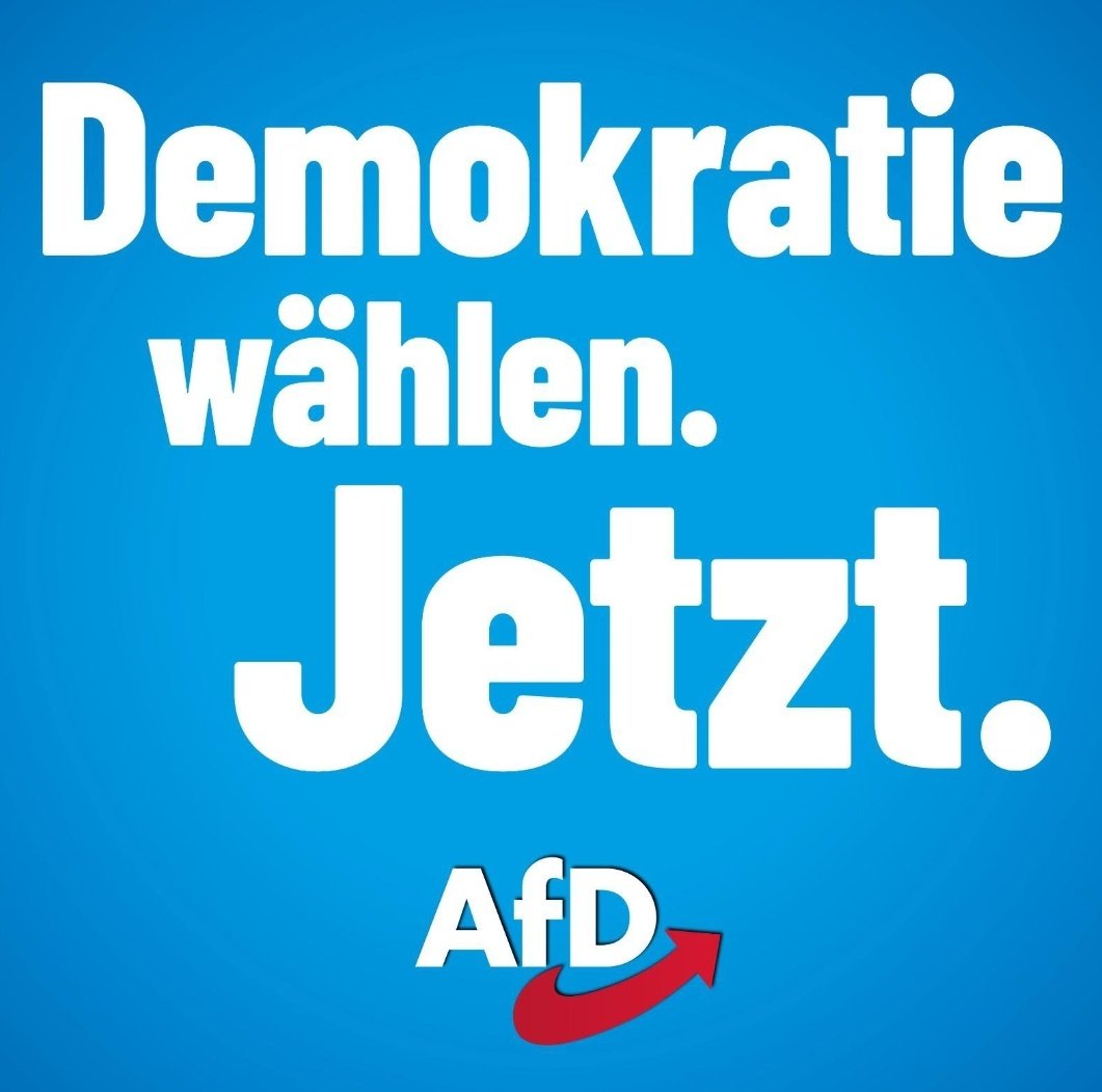 @Theresa_Finn_ #IchwaehleAfD #nurnochAfD #AfD
#Deutschlandabernormal #AfDja 💙