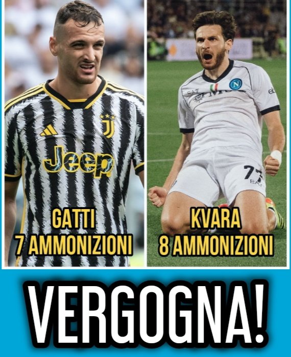 Vincenzo Tolli tweet media