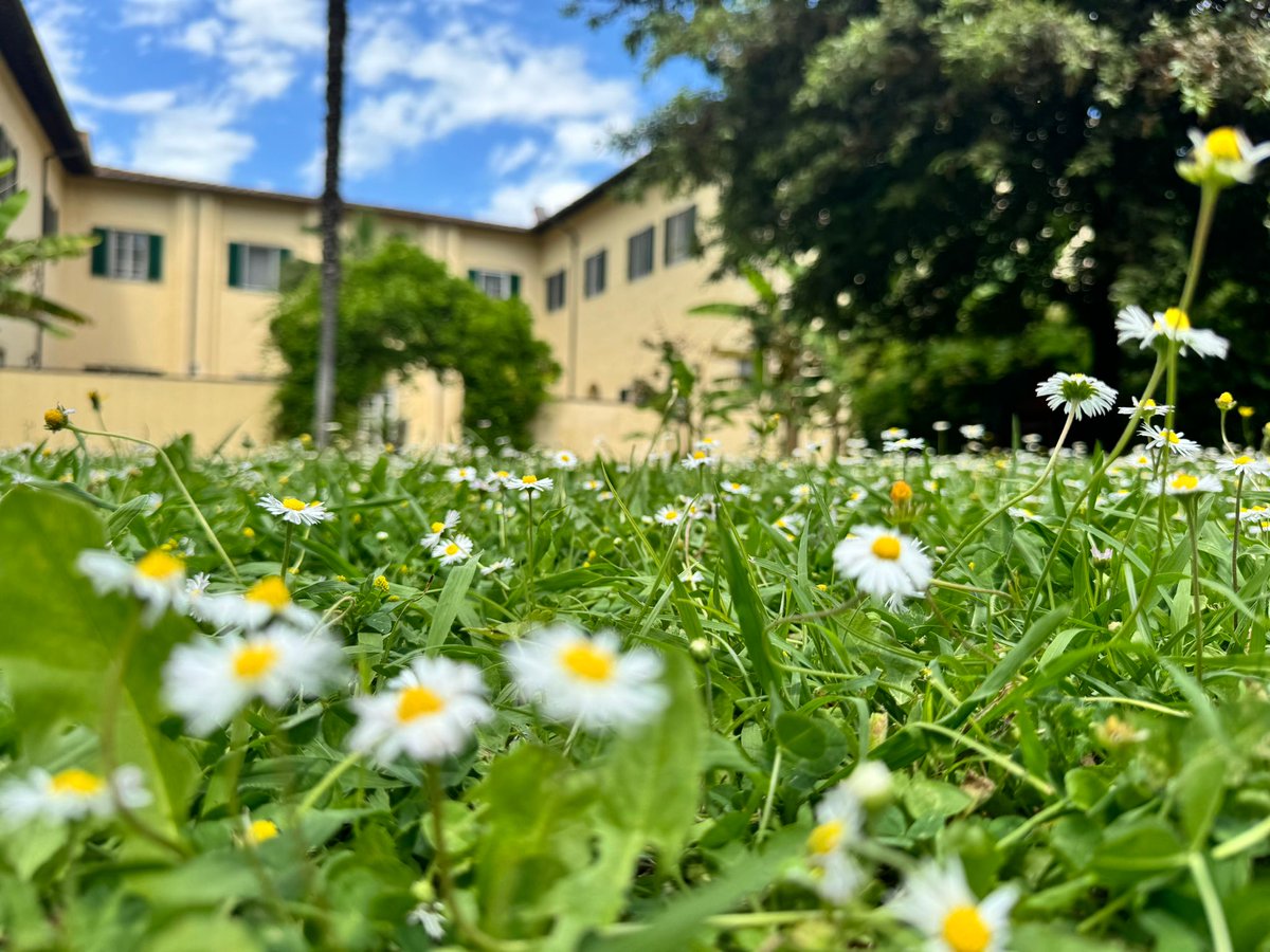 #lifeoncampus #viewfrommydesk Some of our Ph.D.s have chosen the Sede Centrale's garden to do some readings while enjoying today's sunshine!