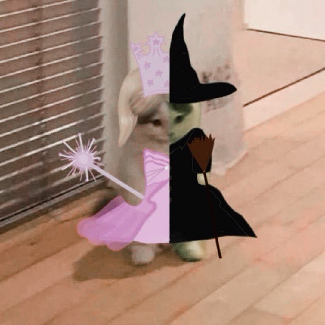 me in november if u even care