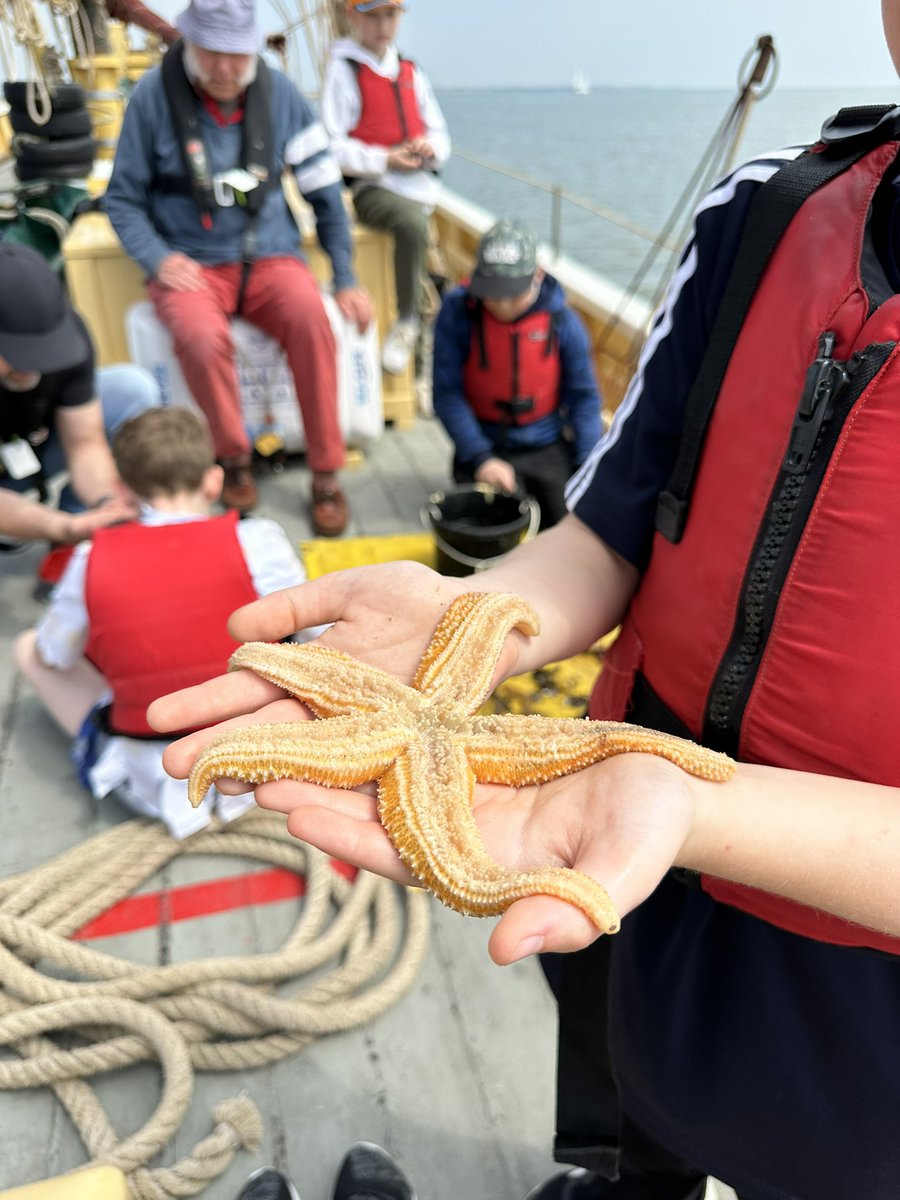 Enjoying a trip out sailing on the #pioneer with this lovely lot 💙
#sailing #brightlingsea #ladsneeddads #mentoring we even dredged up some star fish! 🥳