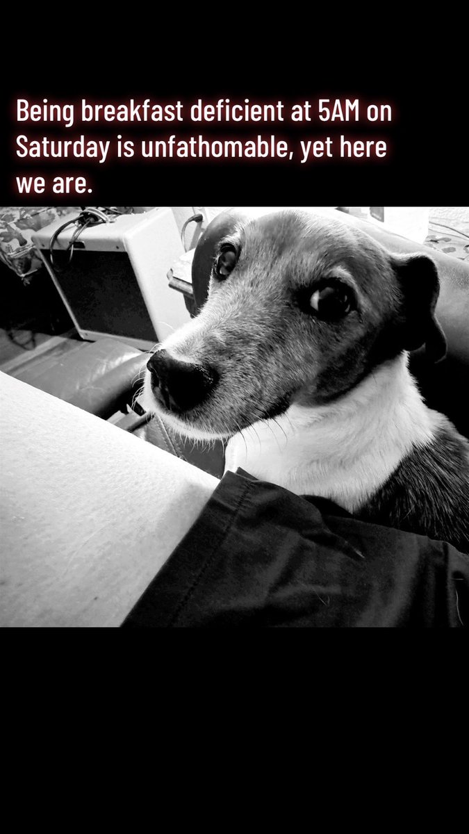 accordingtomort's tweet image. #survival #apocolypse #strategy #is #demanded