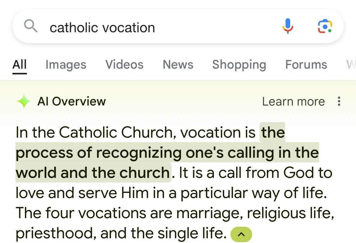 @JenniferSey @NFL Also important to note that when he says “vocation” I do’t think he is talking about career. When he said his vocation was “husband/father” and didn’t mention football, I wondered if he was referencing a catholic thing. So I googled that and apparently that is a thing. In