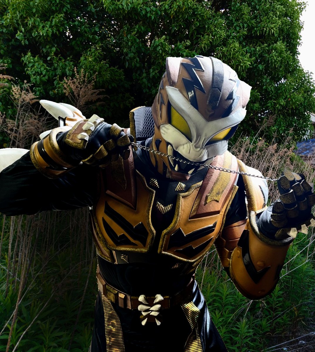 明日イバライガーがカスミに現れるらしいな！
牙を研き明日の襲撃に備えるか！！