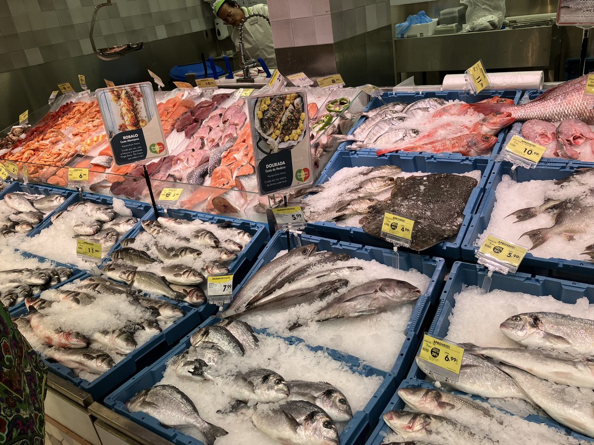 Dr. Paula M Figueiredo (@paleoquake.bsky.social) tweet media