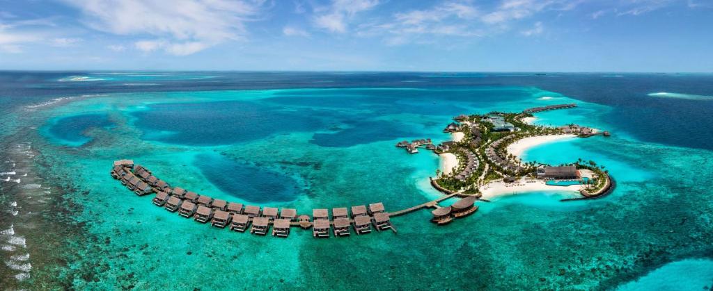 Hilton Maldives Amingiri Resort & Spa - Male City😀
traveldestinationguidetv.blogspot.com/2024/05/hilton…👍
*
#malecity #maldives #mp_maldivesok #asia #earthofficial #visitserbia #mp_traveldestination #passionpassport #heatercentral #instagram #instagood #travelawesome #love✴️