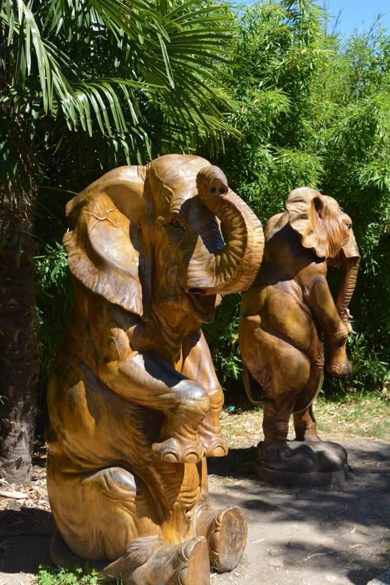 🎨 Sublimes sculptures en bois