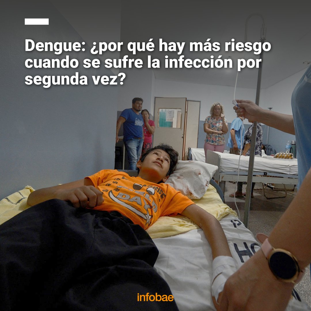 Dengue: ¿por qué hay más riesgos cuando se sufre la infección por segunda vez? #WebStories infob.ae/49uvSDO
