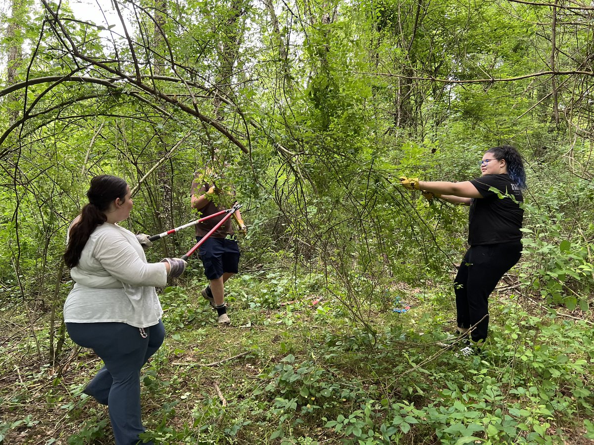 RootEdNC's tweet image. We ❤️ opportunities to partner with @ConsrvgCarolina. We spent the morning getting rid of invasives along the French Broad; it’s way more fun than you might think, and these kids did a great job!